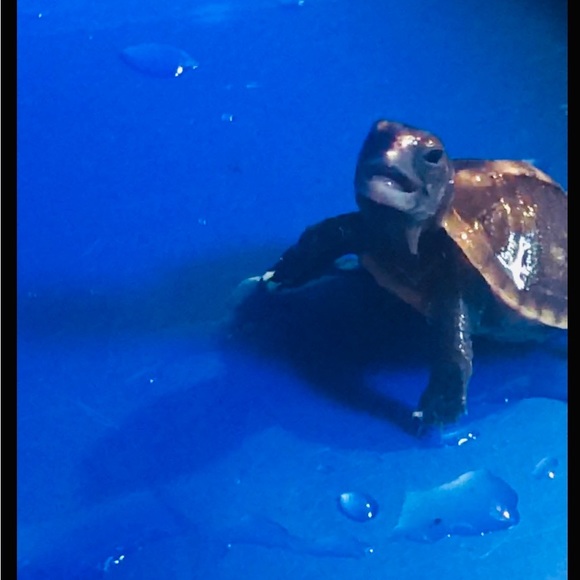 A little about me. - Picture 15 of 16